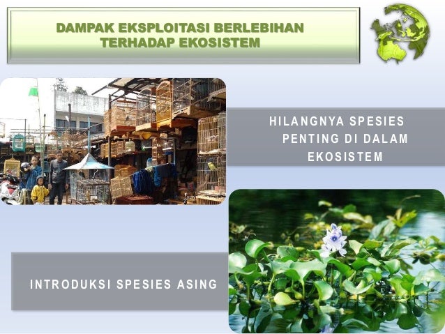 Download 450 Gambar Eksploitasi Lingkungan Paling Baru 