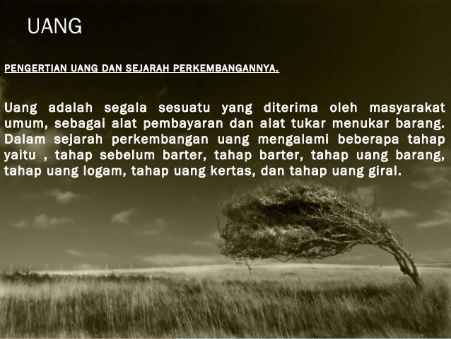 Segala sesuatu tentang perdagangan opsi