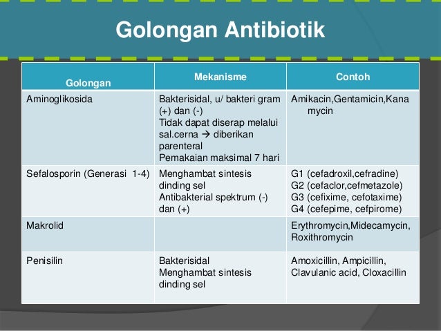 Farmakoterapi Infeksi Saluran Kemih