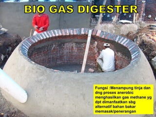 Fungsi :Menampung tinja dan dng proses anerobic menghasilkan gas methane yg dpt dimanfaatkan  sbg alternatif  bahan bakar memasak /penerangan BIO GAS DIGESTER 