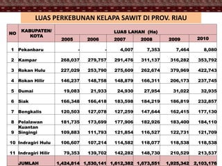 NO
KABUPATEN/
KOTA
LUAS LAHAN (Ha)
2005 2006 2007 2008 2009 2010
1 Pekanbaru - - 4,007 7,353 7,464 8,080
2 Kampar 268,037 279,757 291,476 311,137 316,282 353,792
3 Rokan Hulu 227,029 253,790 275,609 262,674 379,969 422,743
4 Rokan Hilir 146,237 148,758 148,879 166,311 206,173 237,745
5 Dumai 19,083 21,933 24,930 27,954 31,022 32,935
6 Siak 166,348 166,418 183,598 184,219 186,819 232,857
7 Bengkalis 120,503 127,078 127,259 147,644 162,415 177,130
8 Pelalawan 181,735 173,699 177,906 182,926 183,400 184,110
9
Kuantan
Singingi 109,883 111,793 121,854 116,527 122,731 121,709
10 Indragiri Hulu 106,607 107,214 114,582 118,077 118,538 118,538
11 Indragiri Hilir 79,353 139,702 142,282 148,730 210,529 213,537
JUMLAH 1,424,814 1,530,141 1,612,382 1,673,551 1,925,342 2,103,176
LUAS PERKEBUNAN KELAPA SAWIT DI PROV. RIAU
 