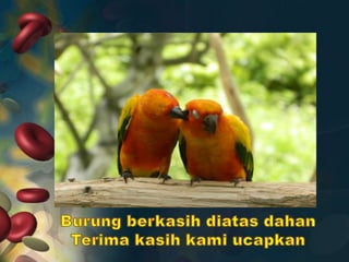 TERIMA KASIH

 