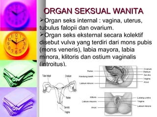 ORGAN SEKSUAL WANITAORGAN SEKSUAL WANITA
Organ seks internal : vagina, uterus,
tubulus falopii dan ovarium.
Organ seks eksternal secara kolektif
disebut vulva yang terdiri dari mons pubis
(mons veneris), labia mayora, labia
minora, klitoris dan ostium vaginalis
(introitus).
 