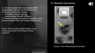 11. Bacteria Corrosion
Picture 11 Iron Plate Bacteria Corrosion
A. Aktivitas sulphate reducing bacteria (SRB)
menghasilkan H2S dan menyebabkan korosi
B. Bacteria membentuk endapan
● Peralatan menjadi mampet
● Korosi terjadi dibawah endapan
C. Korosi cendrung lokal (pada satu tempat), penuh
dengan endapan hitam dan terdapat lendir bakter
Solusi: Kontrol jumlah oilfield bacteria untuk
mengurangi jumlah H2S dengan biocide
treatment.
 