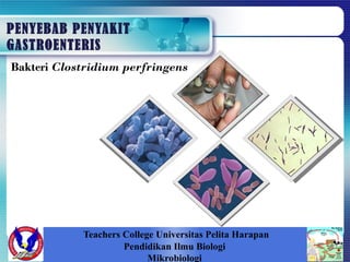 PENYEBAB PENYAKIT
GASTROENTERIS
Teachers College Universitas Pelita Harapan
Pendidikan Ilmu Biologi
Mikrobiologi
Bakteri Clostridium perfringens
 