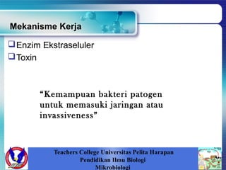 Mekanisme Kerja
Teachers College Universitas Pelita Harapan
Pendidikan Ilmu Biologi
Mikrobiologi
Enzim Ekstraseluler
Toxin
“Kemampuan bakteri patogen
untuk memasuki jaringan atau
invassiveness”
 