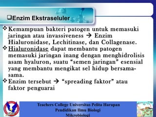 Teachers College Universitas Pelita Harapan
Pendidikan Ilmu Biologi
Mikrobiologi
Kemampuan bakteri patogen untuk memasuki
jaringan atau invassiveness  Enzim
Hialuronidase, Lechitinase, dan Collagenase.
Hialuronidase dapat membantu patogen
memasuki jaringan inang dengan menghidrolisis
asam hyaluron, suatu “semen jaringan” esensial
yang membantu mengikat sel hidup bersama-
sama.
Enzim tersebut  “spreading faktor” atau
faktor penguarai
Enzim Ekstraseluler
 