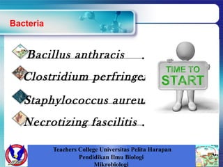 Bacteria
Bacillus anthracis
Clostridium perfringens
Staphylococcus aureus
Necrotizing fascilitis
Teachers College Universitas Pelita Harapan
Pendidikan Ilmu Biologi
Mikrobiologi
 