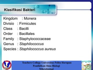 Klasifikasi Bakteri
Kingdom : Monera
Divisio : Firmicutes
Class : Bacilli
Order : Bacillales
Family : Staphylococcaceae
Genus : Staphilococcus
Species : Staphilococcus aureus
Teachers College Universitas Pelita Harapan
Pendidikan Ilmu Biologi
Mikrobiologi
 