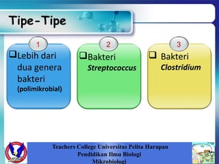 Tipe-Tipe
1
Lebih dari
dua genera
bakteri
(polimikrobial)
3
 Bakteri
Clostridium
2
Bakteri
Streptococcus
Teachers College Universitas Pelita Harapan
Pendidikan Ilmu Biologi
Mikrobiologi
 