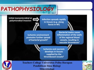 PATHOPHYSIOLOGY
Teachers College Universitas Pelita Harapan
Pendidikan Ilmu Biologi
Mikrobiologi
 