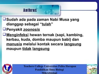 Anthrax
Sudah ada pada zaman Nabi Musa yang
dianggap sebagai “tulah”
Penyakit zoonosis
Menginfeksi hewan ternak (sapi, kambing,
kerbau, kuda, domba maupun babi) dan
manusia melalui kontak secara langsung
maupun tidak langsung
Teachers College Universitas Pelita Harapan
Pendidikan Ilmu Biologi
Mikrobiologi
 