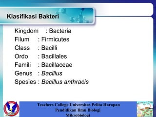 Klasifikasi Bakteri
Kingdom : Bacteria
Filum : Firmicutes
Class : Bacilli
Ordo : Bacillales
Famili : Bacillaceae
Genus : Bacillus
Spesies : Bacillus anthracis
Teachers College Universitas Pelita Harapan
Pendidikan Ilmu Biologi
Mikrobiologi
 