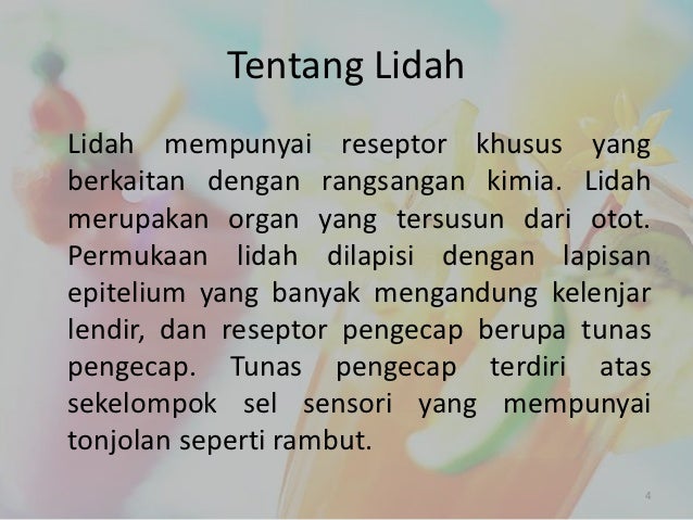 Alat Indra Kulit dan Lidah