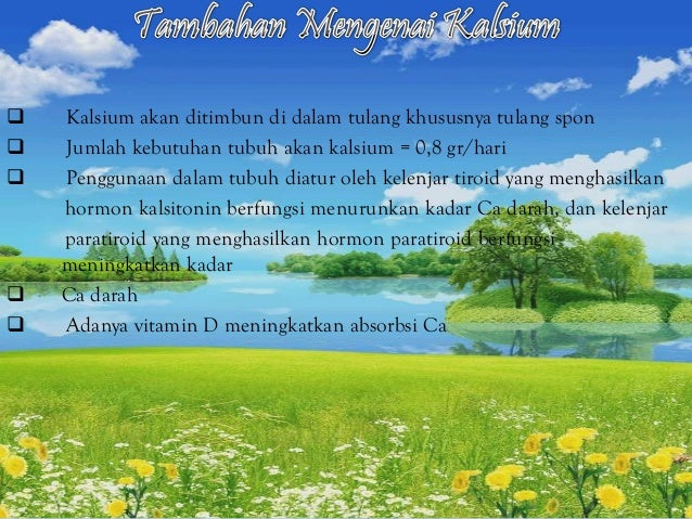 Presentasi Garam Mineral