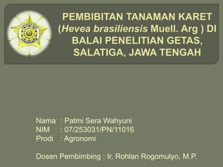 Nama : Patmi Sera Wahyuni
NIM : 07/253031/PN/11016
Prodi : Agronomi
Dosen Pembimbing : Ir. Rohlan Rogomulyo, M.P.
 