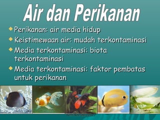 Kumpulan Kenapa Ikan Laut Dalam Tidak Berpengaruh Tekanan Air HD Terbaru