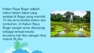 Kebun Raya Bogor adalah
kebun botani besar yang
terletak di Bogor yang memiliki
15 ribu jenis koleksi pohon dan
tumbuhan. Di Kebun Raya
Bogor sangat ramai dikunjungi
sebagai tempat wisata
terutama hari libur dengan tiket
masuk 30 ribu
 