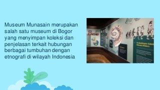 Museum Munasain merupakan
salah satu museum di Bogor
yang menyimpan koleksi dan
penjelasan terkait hubungan
berbagai tumbuhan dengan
etnografi di wilayah Indonesia
 