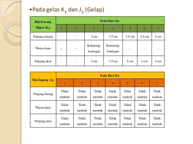 Presentasi laporan praktikum pertumbuhan dan perkembangan