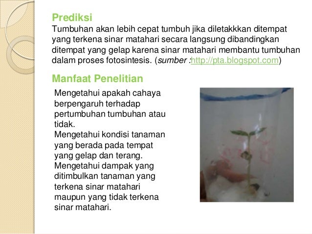 Presentasi laporan praktikum pertumbuhan dan perkembangan 