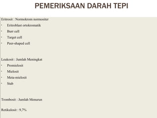 PEMERIKSAAN DARAH TEPI  Eritrosit : Normokrom normositer Eritroblast ortokromatik Burr cell Target cell Peer-shaped cell Leukosit : Jumlah Meningkat Promielosit Mielosit  Meta-mielosit Stab  Trombosit : Jumlah Menurun Retikulosit : 9,7% 