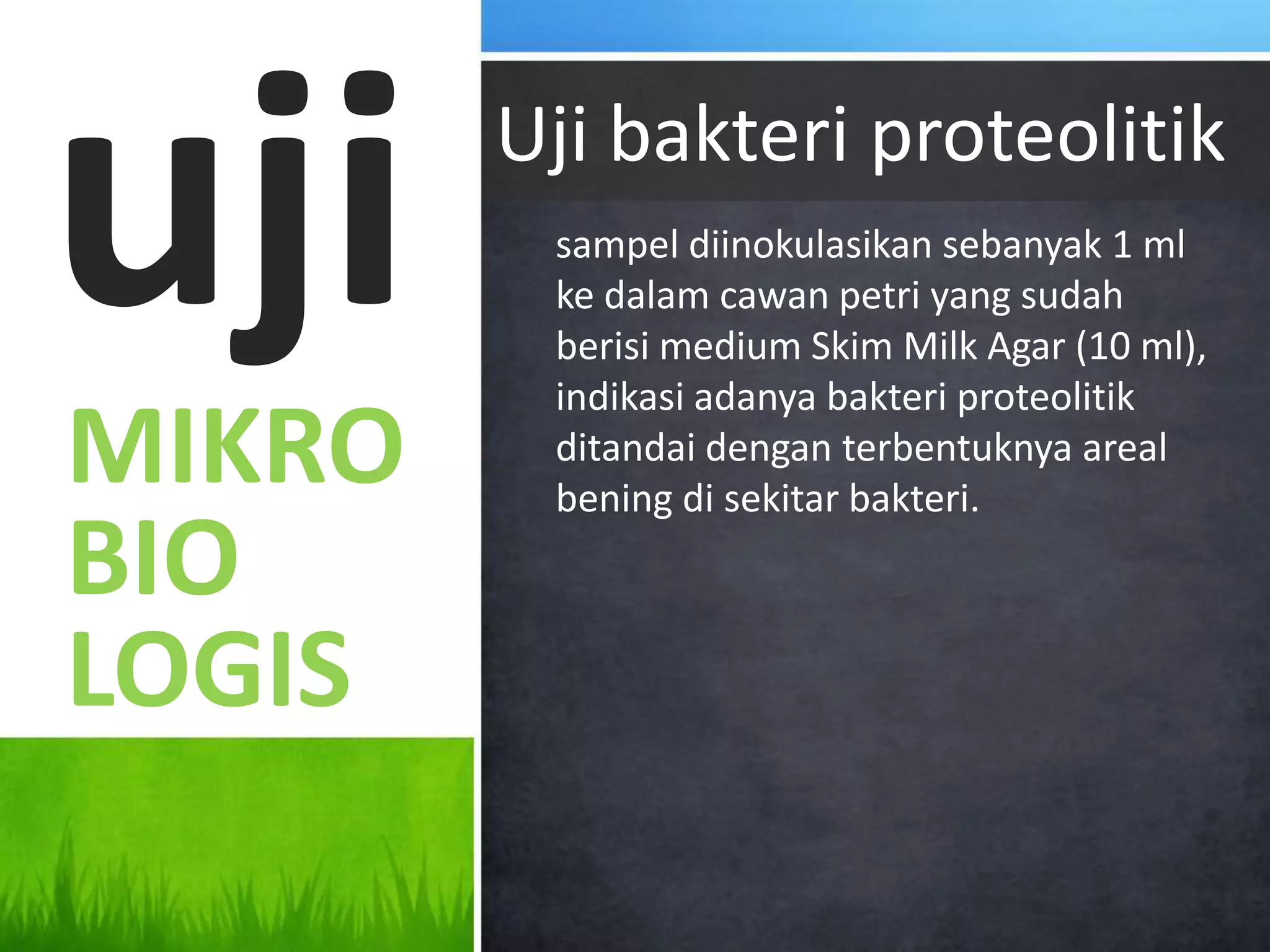 uji     Uji bakteri proteolitik
         sampel diinokulasikan sebanyak 1 ml
         ke dalam cawan petri yang sudah
         berisi medium Skim Milk Agar (10 ml),
         indikasi adanya bakteri proteolitik
MIKRO    ditandai dengan terbentuknya areal
         bening di sekitar bakteri.
BIO
LOGIS
 