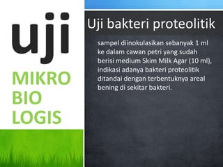 uji     Uji bakteri proteolitik
         sampel diinokulasikan sebanyak 1 ml
         ke dalam cawan petri yang sudah
         berisi medium Skim Milk Agar (10 ml),
         indikasi adanya bakteri proteolitik
MIKRO    ditandai dengan terbentuknya areal
         bening di sekitar bakteri.
BIO
LOGIS
 