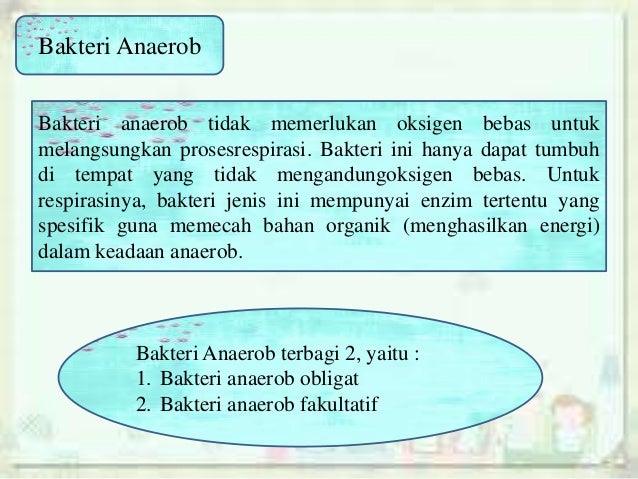 Archaebacteria & Eubacteria