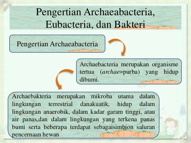Archaebacteria Eubacteria