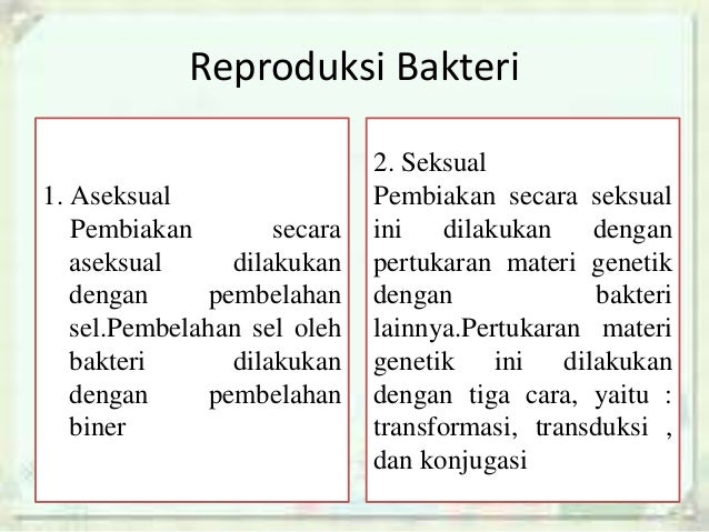 Archaebacteria Eubacteria