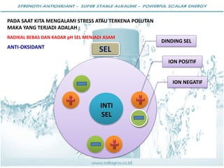 INTI
SEL
PADA SAAT KITA MENGALAMI STRESS ATAU TERKENA POLUTAN
MAKA YANG TERJADI ADALAH :
RADIKAL BEBAS DAN KADAR pH SEL MENJADI ASAM
ANTI-OKSIDANT
SEL
DINDING SEL
ION POSITIF
ION NEGATIF
 
