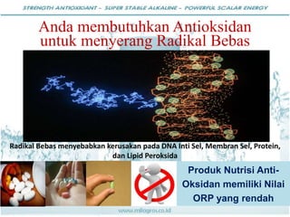 Radikal Bebas menyebabkan kerusakan pada DNA Inti Sel, Membran Sel, Protein,
dan Lipid Peroksida
Anda membutuhkan Antioksidan
untuk menyerang Radikal Bebas
Produk Nutrisi Anti-
Oksidan memiliki Nilai
ORP yang rendah
 