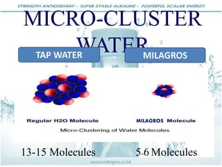 MICRO-CLUSTER
WATERTAP WATER MILAGROS
MILAGROS
13-15 Molecules 5-6 Molecules
 