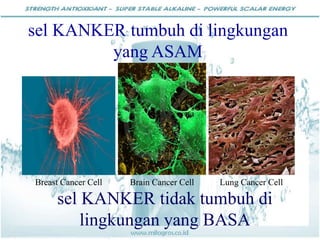sel KANKER tumbuh di lingkungan
yang ASAM
Breast Cancer Cell Brain Cancer Cell Lung Cancer Cell
sel KANKER tidak tumbuh di
lingkungan yang BASA
 