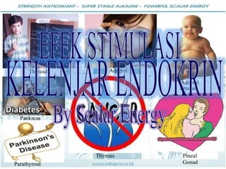 Thyroid Adneral
Pankreas
Thymus Pineal
Parathyroid Gonad
Pituitari
Adneral
 