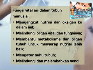 Fungsi vital air dalam tubuh
manusia :
• Mengangkut nutrisi dan oksigen ke
dalam sel;
• Melindungi organ vital dan fungsin...