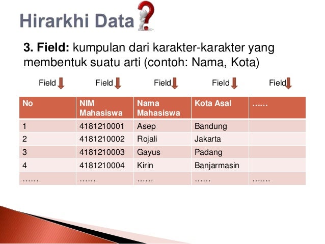 Reporting services. Data fields value. Data field. What is organized data. Units of measurement.