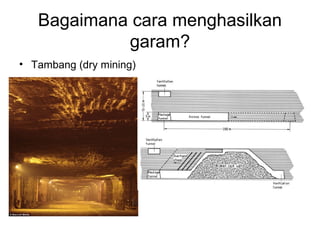 Bagaimana cara menghasilkan
garam?
• Tambang (dry mining)
 