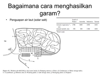 Bagaimana cara menghasilkan
garam?
• Penguapan air laut (solar salt)
 