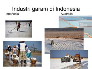 Industri garam di Indonesia
Indonesia Australia
 