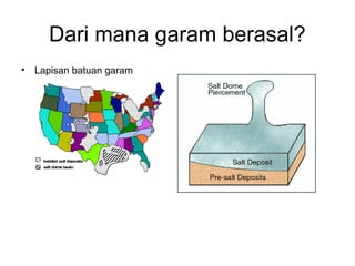 Dari mana garam berasal?
• Lapisan batuan garam
 