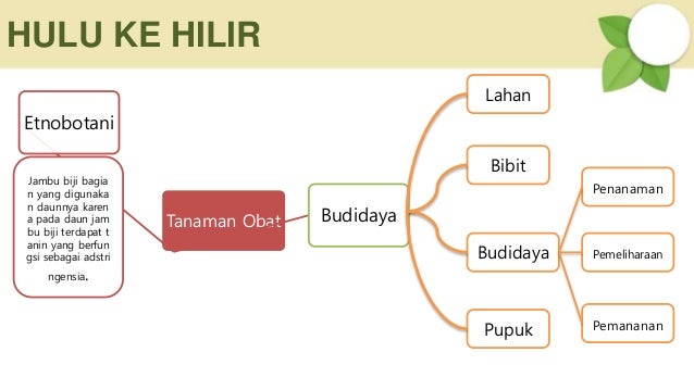HULU KE HILIR
Tanaman Obat
Etnobotani
Budidaya
Jambu biji bagia
n yang digunaka
n daunnya karen
a pada daun jam
bu biji terdapat t
anin yang berfun
gsi sebagai adstri
ngensia.
Lahan
Bibit
Budidaya
Pupuk
Penanaman
Pemeliharaan
Pemananan
 