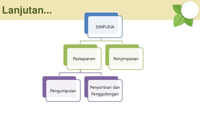 Lanjutan...
SIMPLISIA
Paskapanen
Pengumpulan
Penyortiran dan
Penggolongan
Penyimpanan
 