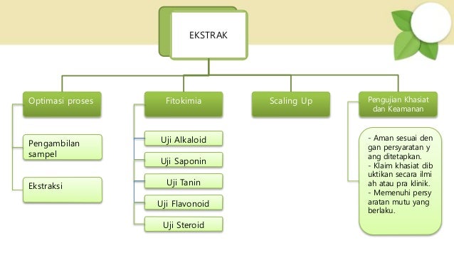 EKSTRAK
Optimasi proses
Pengambilan
sampel
Ekstraksi
Fitokimia
Uji Alkaloid
Uji Saponin
Uji Tanin
Uji Flavonoid
Uji Steroid
Scaling Up Pengujian Khasiat
dan Keamanan
- Aman sesuai den
gan persyaratan y
ang ditetapkan.
- Klaim khasiat dib
uktikan secara ilmi
ah atau pra klinik.
- Memenuhi persy
aratan mutu yang
berlaku.
 