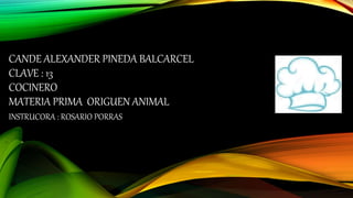 CANDE ALEXANDER PINEDA BALCARCEL
CLAVE : 13
COCINERO
MATERIA PRIMA ORIGUEN ANIMAL
INSTRUCORA : ROSARIO PORRAS
 