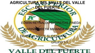 AGRICULTURA DEL VALLE DEL VALLE
DEL FUERTE

EDWIN REYNALDO BARRERAS PINEDA
MARINA MIREYA MIRANDA APODACA
TRABAJO: DRIVE SLIDESHARE
GRUPO 1-1
A 9 DE FEBRERO DEL 2014

 