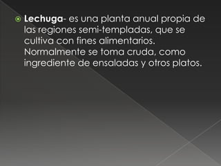    Lechuga- es una planta anual propia de
    las regiones semi-templadas, que se
    cultiva con fines alimentarios.
    Normalmente se toma cruda, como
    ingrediente de ensaladas y otros platos.
 