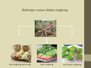 Beberapa variasi olahan singkong 
Kue singkong parut keju Lapis singkong Kue talam singkong 
 