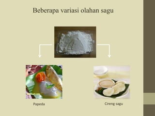 Beberapa variasi olahan sagu 
Papeda Cireng sagu 
 